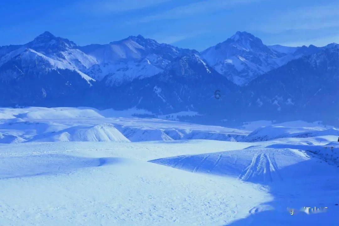 虫虫助手下载